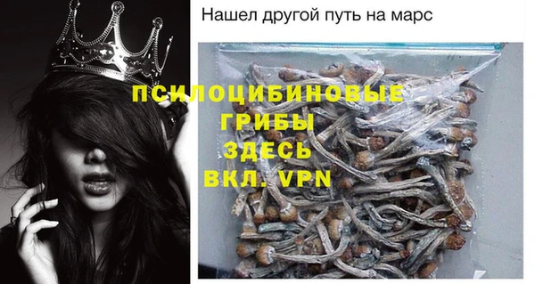 МДПВ Тобольск