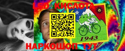 стаф Заводоуковск