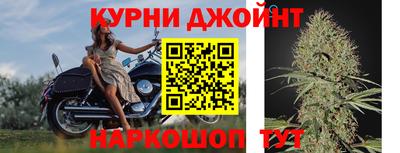 стаф Заводоуковск