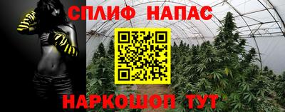 стаф Заводоуковск